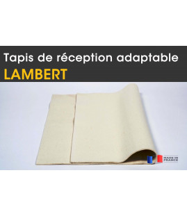 Adapt. LAMBERT, tapis réception