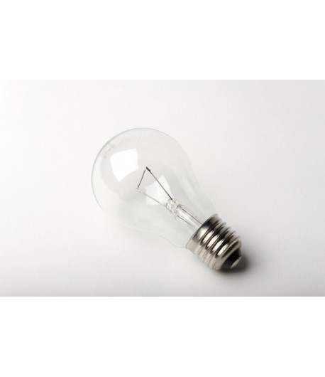 Lampe adapt. vieux fours E27 standard claire 230 V 60 W